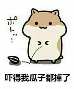 20300000432220150000430550972_s